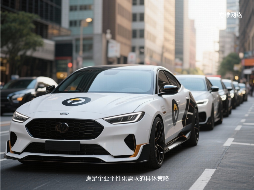 满足企业个性化需求的具体策略